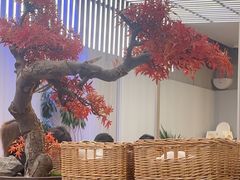 -苏小柳点心·手作小笼包(浦东嘉里城分院)