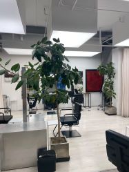 -Hair  Gallery