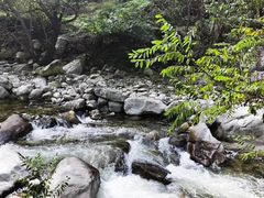 -秦岭风景区