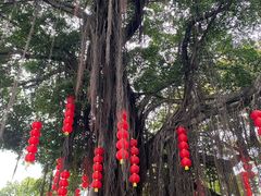 -荔湾湖公园