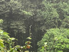 -海口火山口国家地质公园