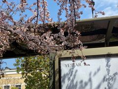 -杭州文化广播电视集团