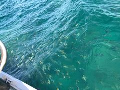 -亚龙湾海底世界
