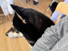 -柴の食堂·日式家庭料理·熊之肆(大学路店)