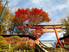 -秋叶原电器街