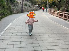 -云岗森林公园