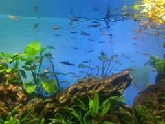 -太平洋海底世界