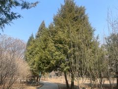 -太阳宫足球俱乐部