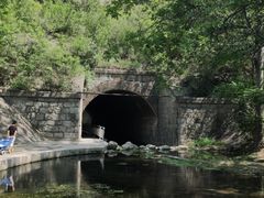 -白水寺森林公园