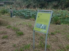 -白鹭湾湿地公园