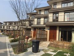 -田园东方蜜桃村的田野营地