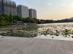 -南翔镇银翔湖公园