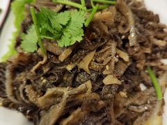 -津菜宋记老房子(鼓楼店)