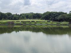 -东莞植物园