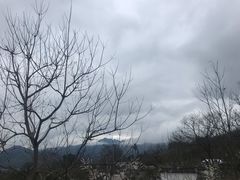 -塔川景区