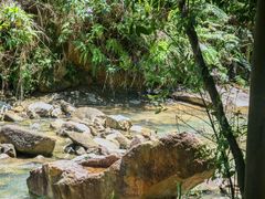 -广州白江湖森林公园