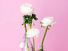 -花园桥(地铁站)