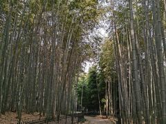 -杭州植物园