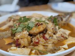 -煲来饱去冷水鱼