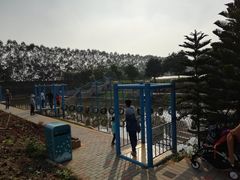 -迪茵湖田家舍生态农场