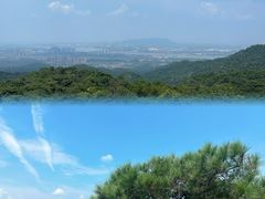 -八仔大富楼·河鲜(西江店)
