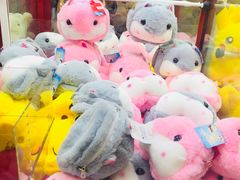 -北京华联合肥长江西路购物中心