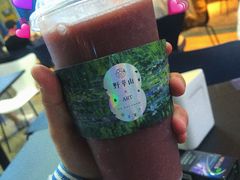 -野萃山·潮汕厚果汁(十亩地店)