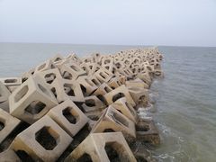 -东疆建设开发纪念公园