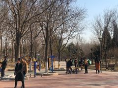 -大兴滨河森林公园