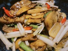 泰味楚雄牛肝菌-半山腰·云南菜(侨福芳草地店)