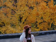 -遵化市禅林寺古银杏风景园