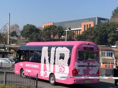 -东钱湖小普陀景区