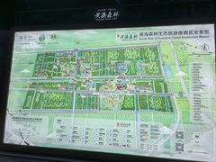 -黄海国家森林公园