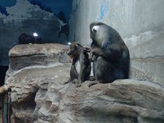 -鄂尔多斯野生动物园