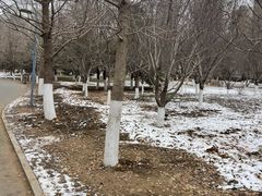 -长白岛森林公园