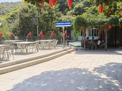 -鲤鱼塘农家山庄