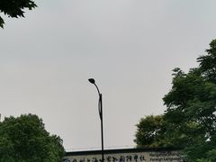 -江墅铁路遗址公园