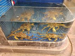 -骏莱海鲜鱼港(五角场店)