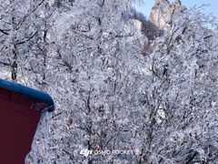 -崂山巨峰游览区