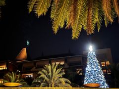 -海南清水湾莱佛士酒店