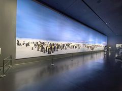 -罗红摄影艺术馆