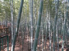 -陶祖圣境风景区