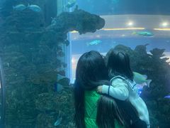 -乐从天佑城海洋馆