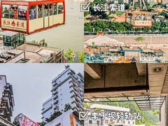 -味子夫鸡柳(三峡广场店)