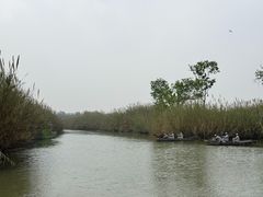 -泗洪洪泽湖湿地景区