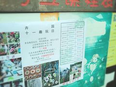 -前小桔亲子创意农场·草莓采摘·露营烧烤