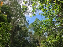 -火炉山森林公园