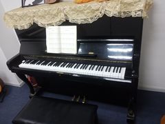 -爱乐蒙艺术·古筝 钢琴 声乐(科华校区)