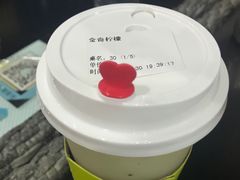 -野萃山·潮汕厚果汁(十亩地店)