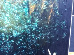 -怀托摩萤火虫洞